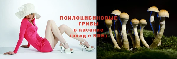a pvp Вяземский