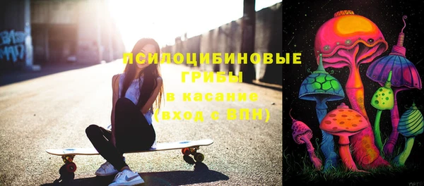спиды Заводоуковск