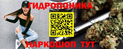 дурь Бердск