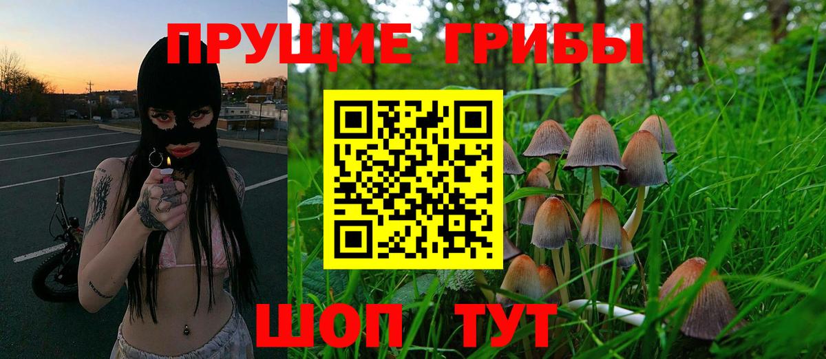 Псилоцибиновые грибы прущие грибы Мончегорск