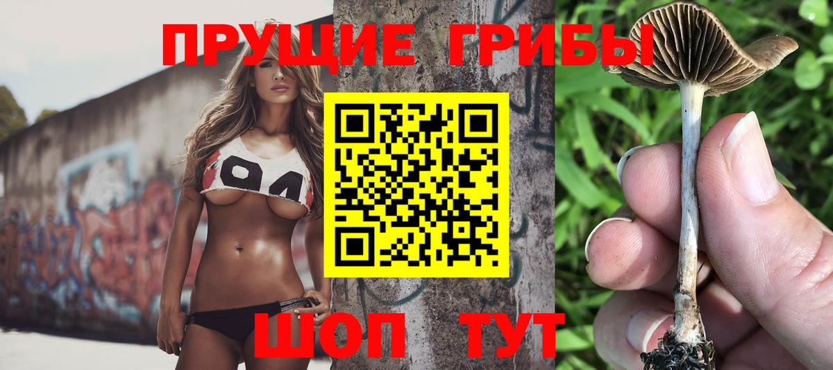 Псилоцибиновые грибы мухоморы  Вход с VPN  Мончегорск  Псилоцибиновые грибы прущие грибы 