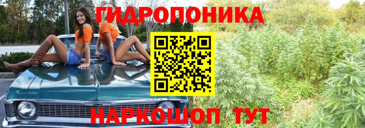 Бошки марихуана план  Каннабис конопля  Конопля OG Kush  Вход с VPN  Мончегорск 